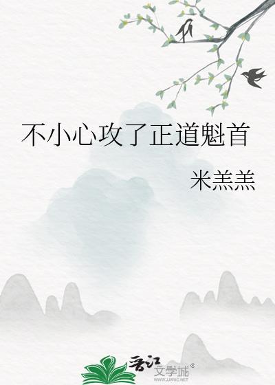 不小心攻了正道魁首讲的什么