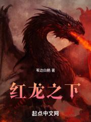 红龙之下TXT百度