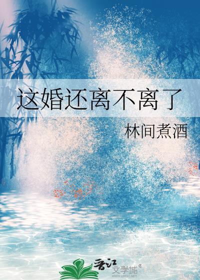 这婚还离不离了txt百度资源链接