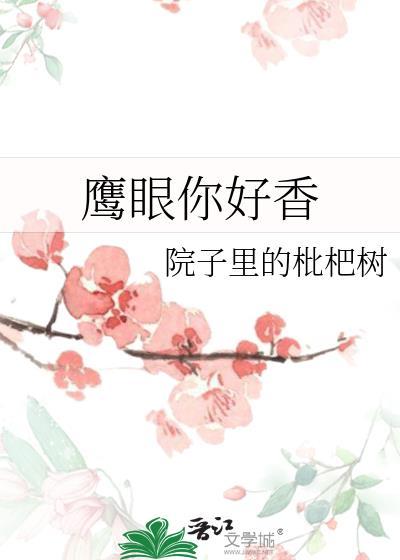 鹰眼眼神