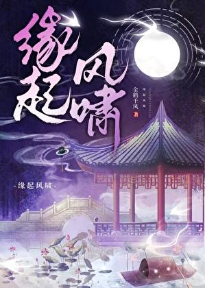 缘起长风免费阅读