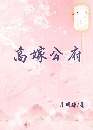 高嫁公府月明珠书包网