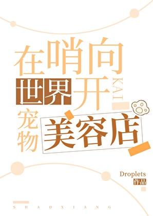 开宠物美容店需要多少钱