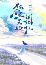 独宠皇贵妃甚