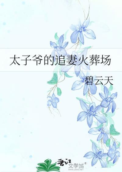 太子爷的追妻火葬场 碧云天