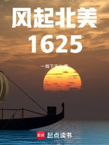 风起北美1625全文免费