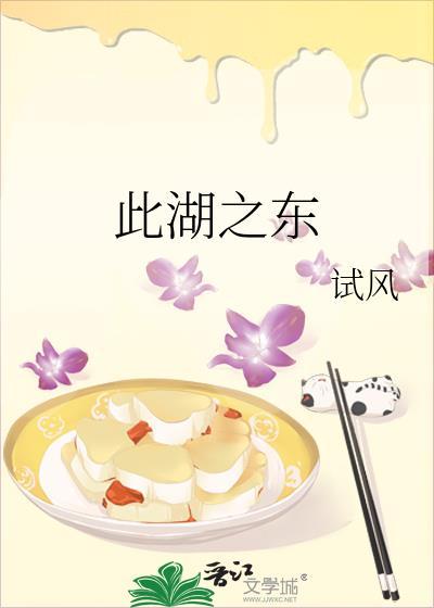 此湖之东by试风TXT