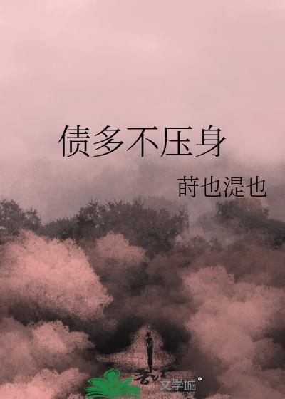 债多不压身上一句是什么