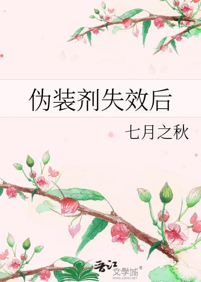 伪装装置