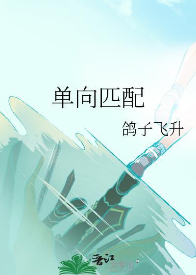 双向匹配公式