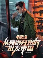 穿越到1939年卖武器给李云龙 王嘉恩