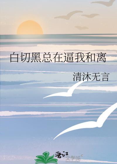 黑切白和白切黑全文