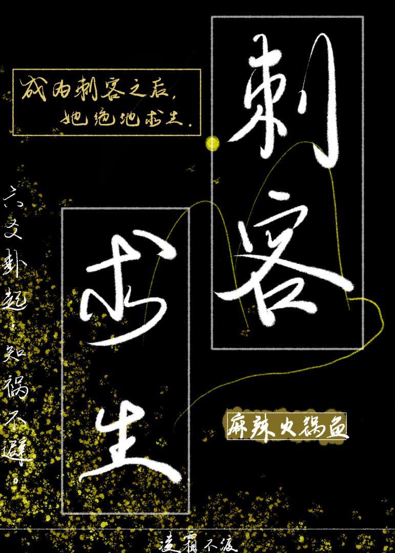 刺客的生活录