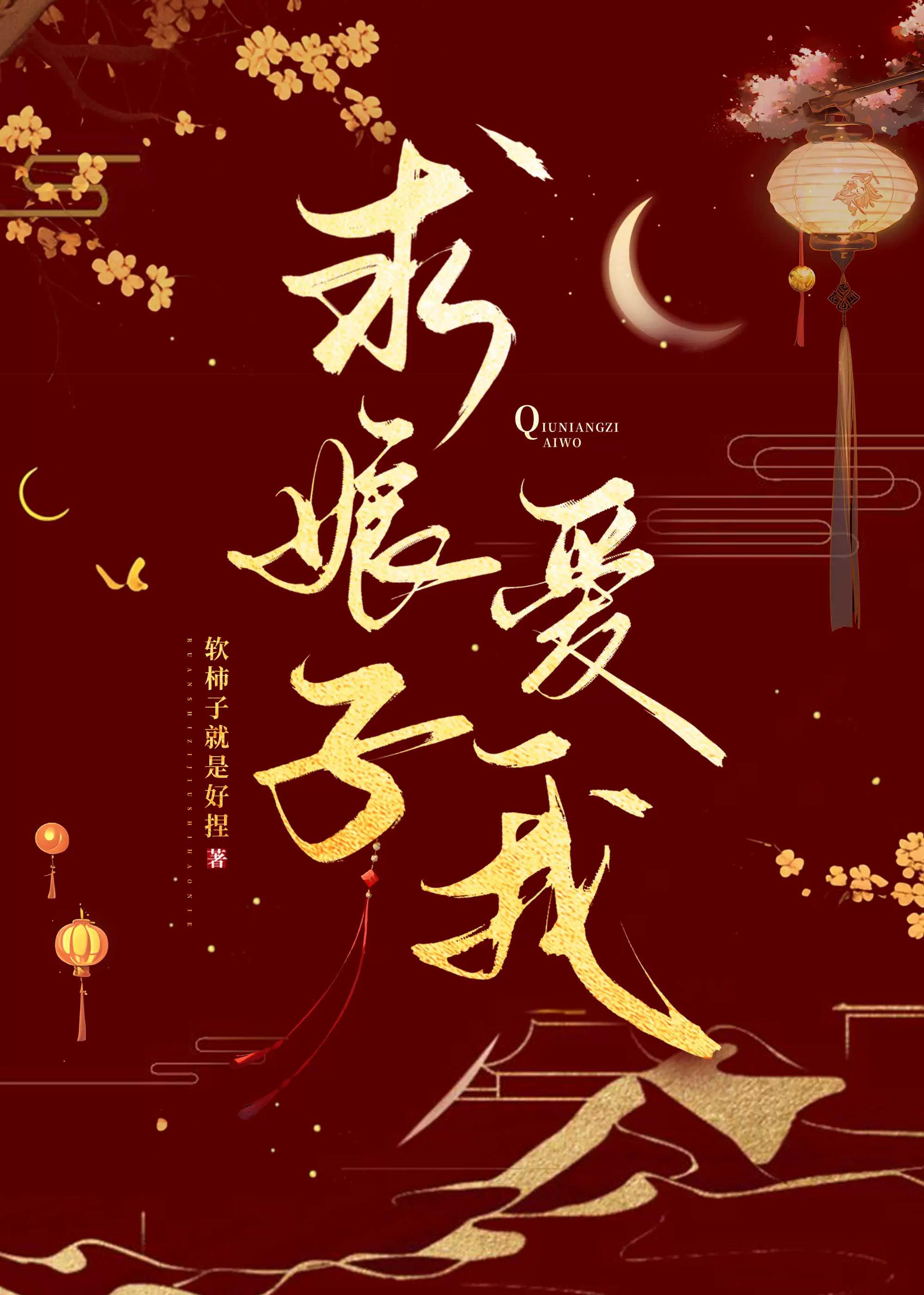 求娘子爱我讲的什么
