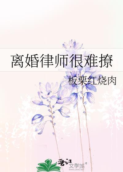离婚律师好