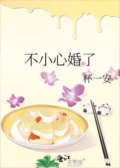 不小心就结了个婚全文阅读