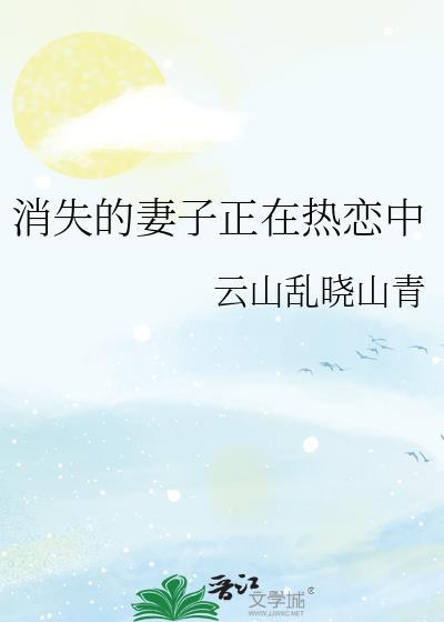 电影 消失的妻子
