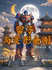 变形金刚条子