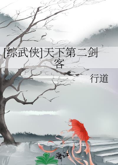 综武侠天下第一刺客格格党
