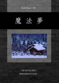 魔法网络