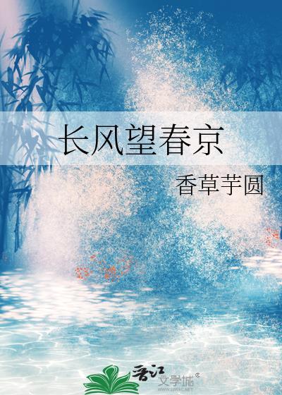长风望春京番外