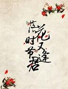 落花时节又逢君表达的情感