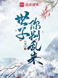 世子你别乱来百科
