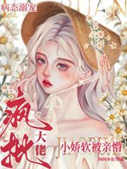 病娇大佬的小傻子又软又燎