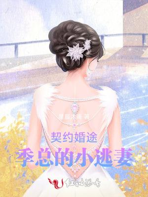 契约 总裁
