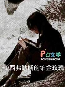 西弗勒斯bg