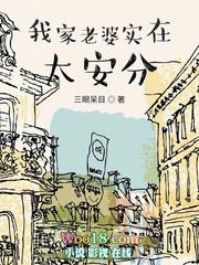 我家老婆实在太安分了起点