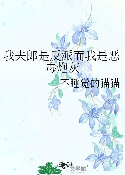 我夫郎是反派而我是恶毒炮灰 不睡觉的猫猫