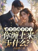 沈颜傅宸灏