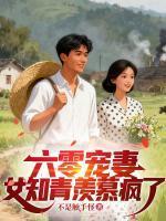 李宝山视频