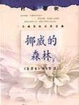 挪威的森林完整版