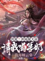 主人翁叫秦渊的书名