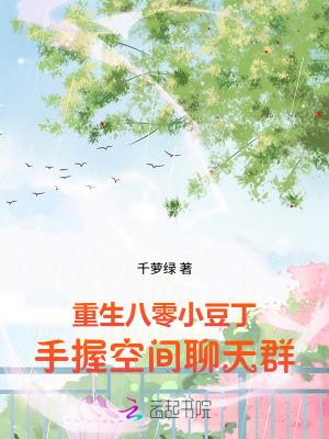 重生八零小豆丁