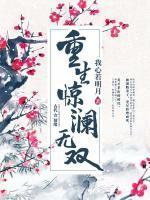 女主叫顾惊澜