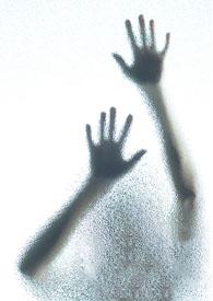 顾风顾盼 顾风顾盼