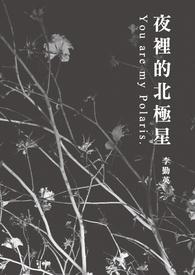 夜里的北极星李勤英