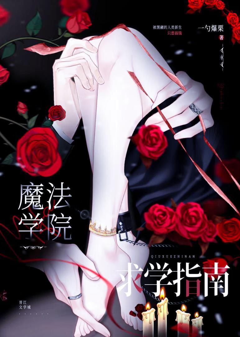 魔法学院求学指南免费阅读