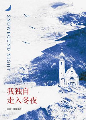 我独自走在夜色