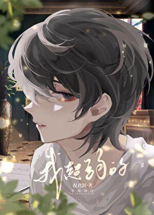 他的小纸片人番外