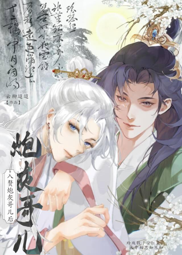 入赘炮灰哥儿后大结局