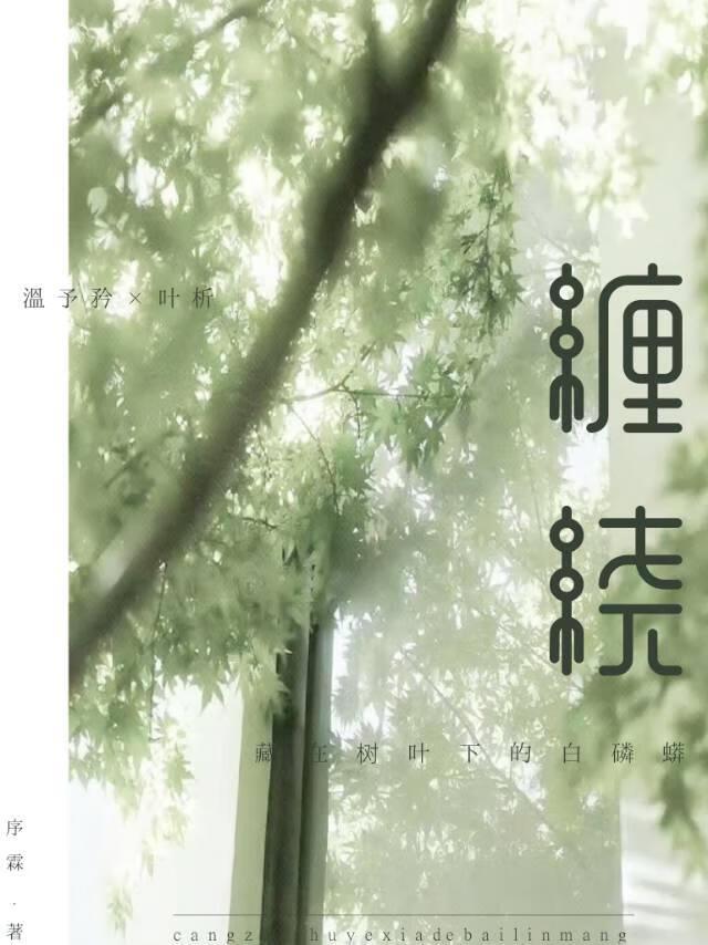 缠绕膜生产设备 缠绕膜生产设备