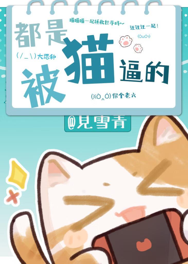 被猫当成猎物怎么办