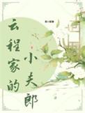 云程家的小夫郎完