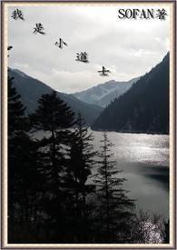 小道士是什么意思
