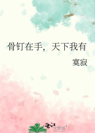 骨钉视频