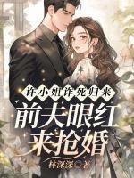 许言周京延温峤免费阅读